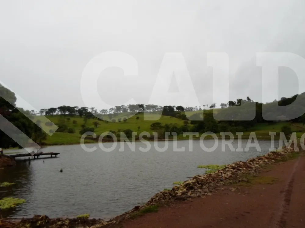 Fazenda - Foto 7