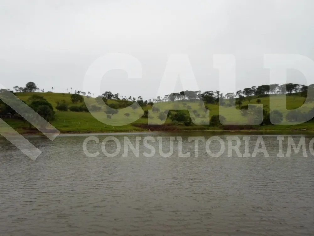 Fazenda - Foto 3