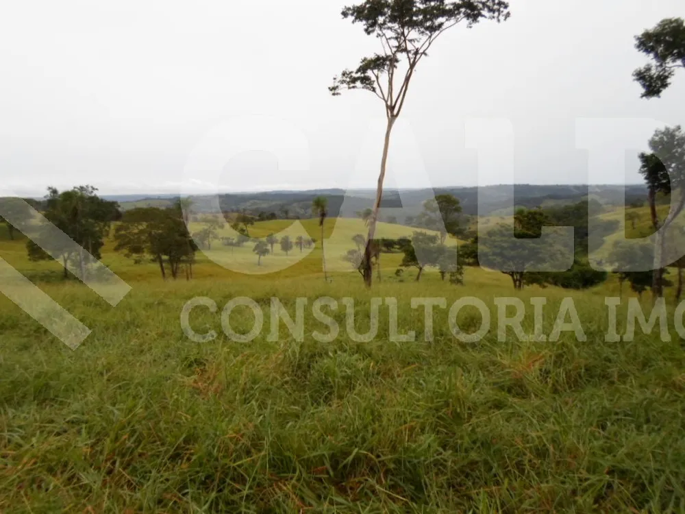 Fazenda - Foto 4