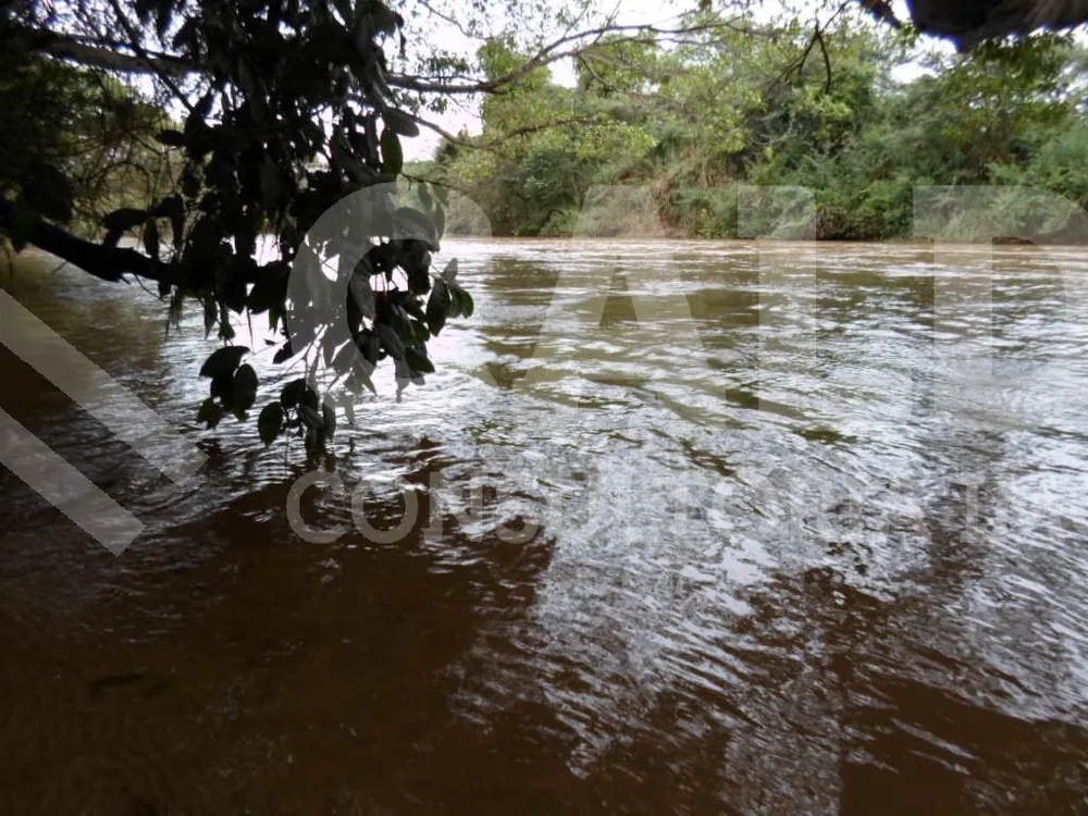 Fazenda - Foto 2