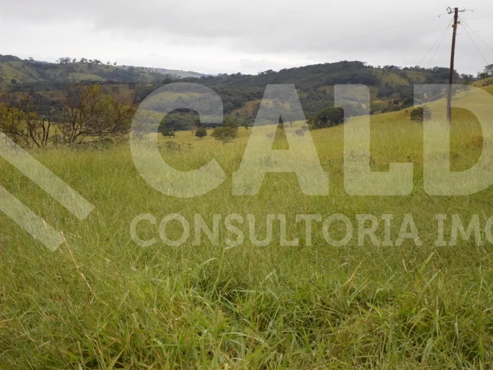 Fazenda - Foto 1