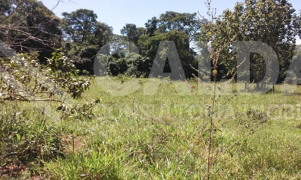 Fazenda - Foto 1
