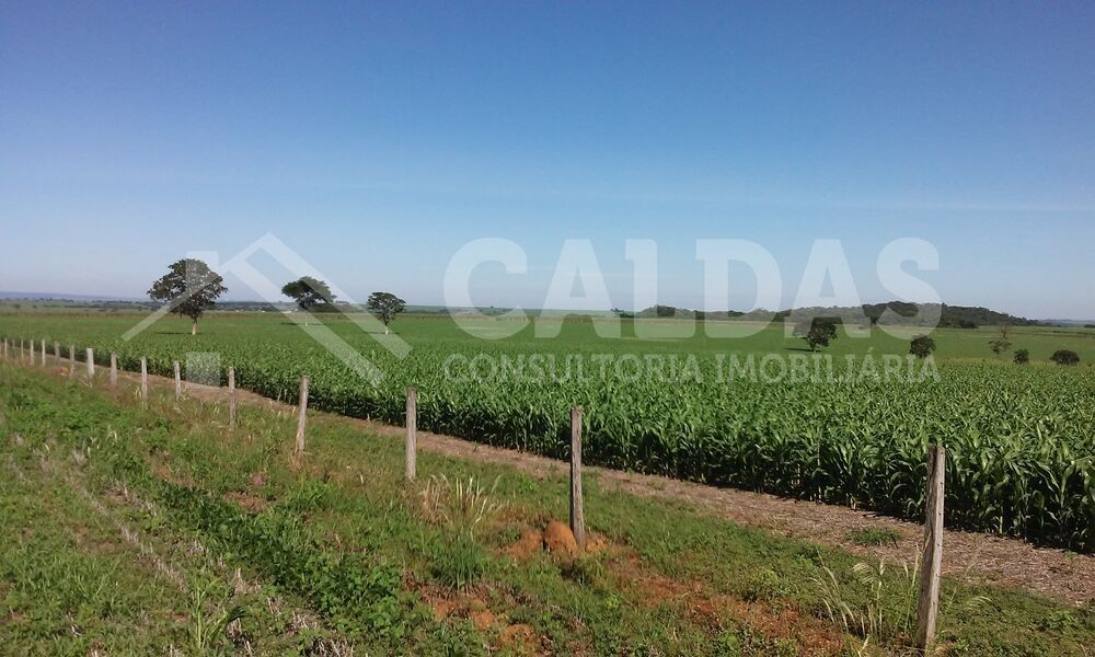 Fazenda - Foto 5