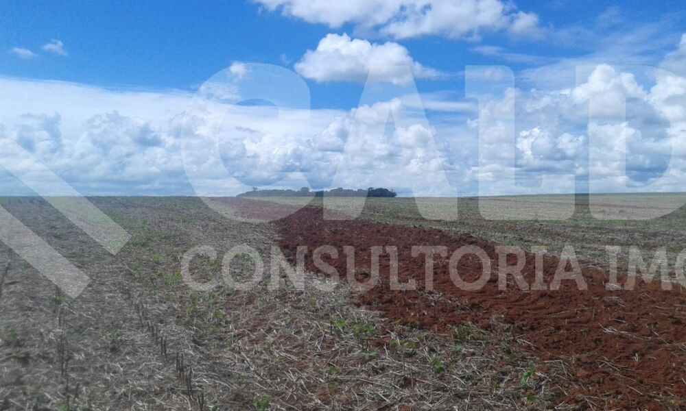 Fazenda - Foto 6