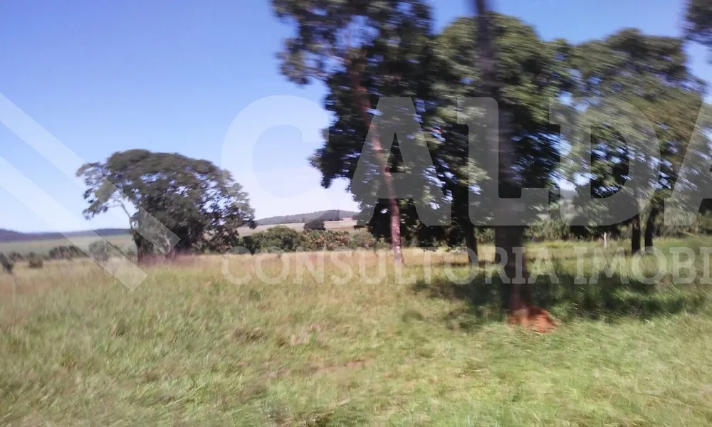 Fazenda - Foto 3