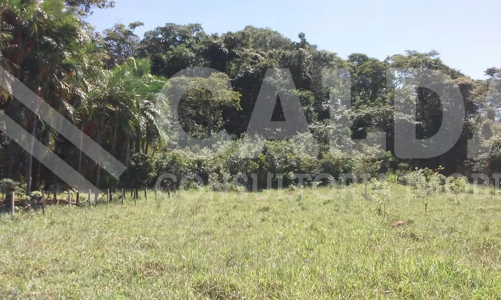 Fazenda - Foto 4