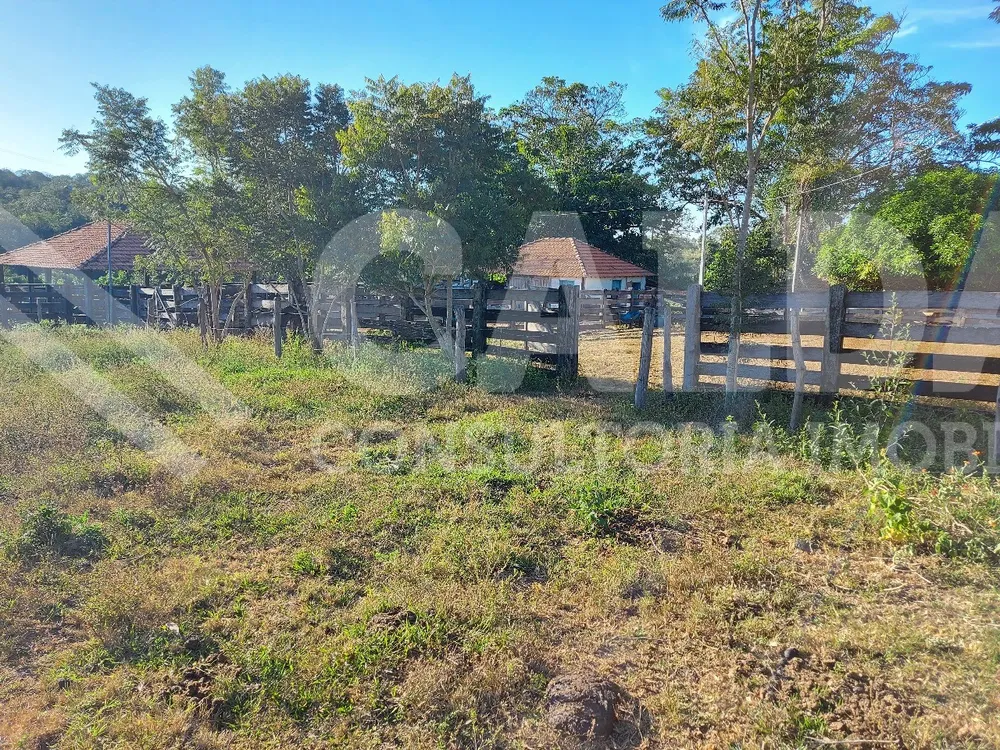 Fazenda - Foto 2