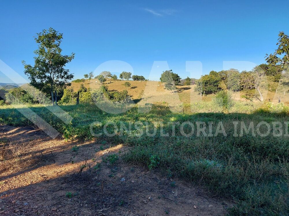 Fazenda - Foto 3