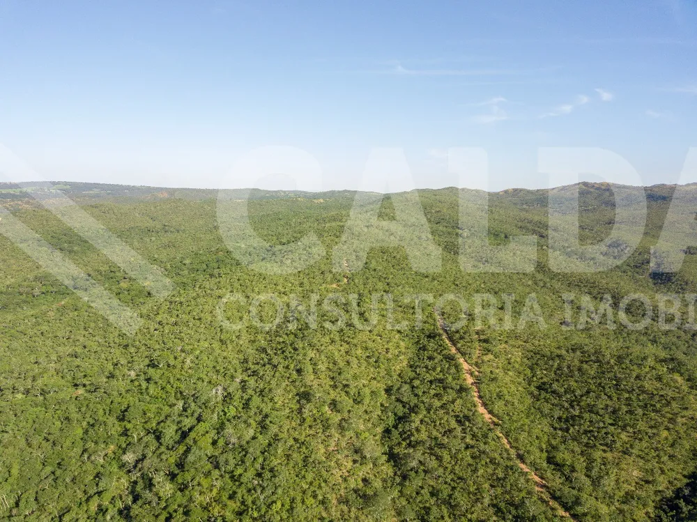 Fazenda - Foto 1