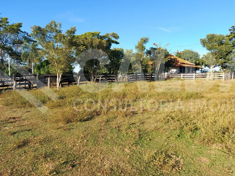 Fazenda - Foto 4