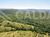 Fazenda - Foto 4