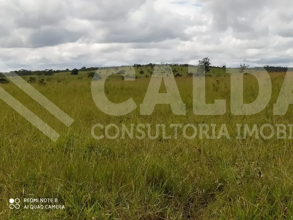 Fazenda - Foto 5