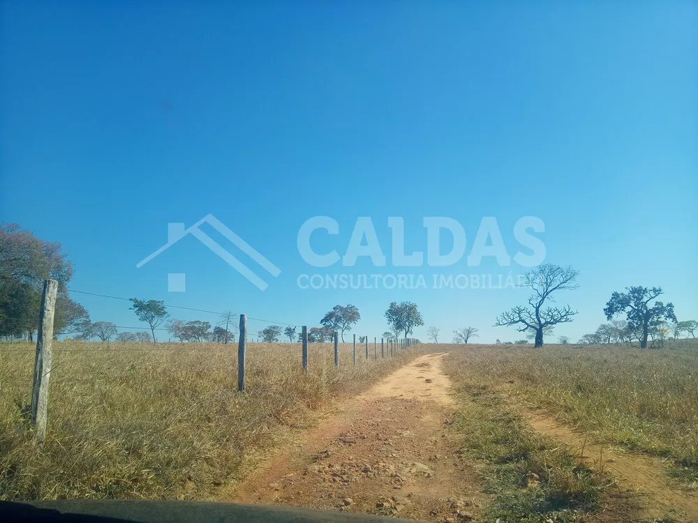 Fazenda - Foto 12