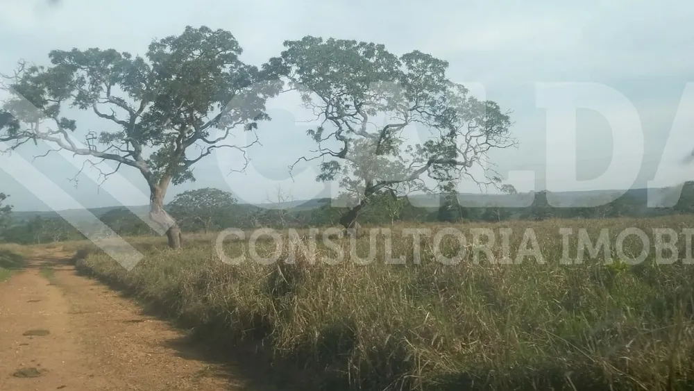 Fazenda - Foto 7