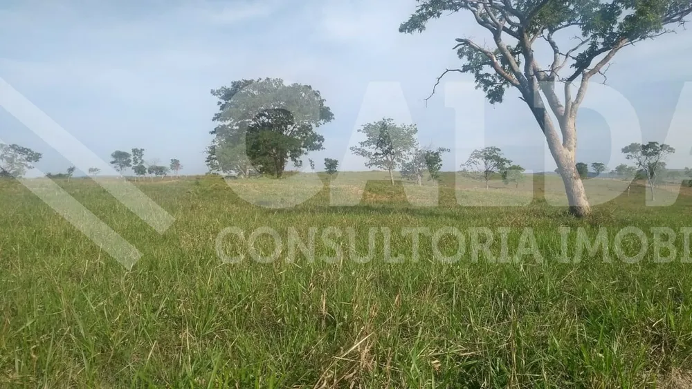 Fazenda - Foto 8