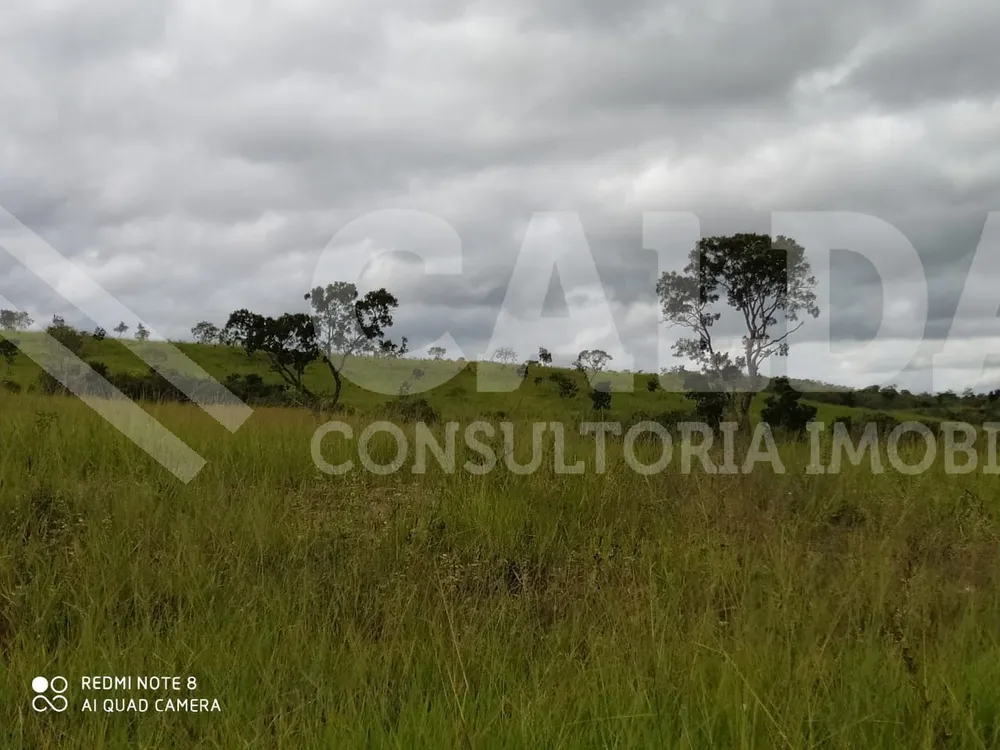Fazenda - Foto 9