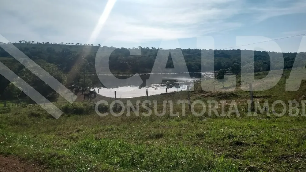 Fazenda - Foto 6