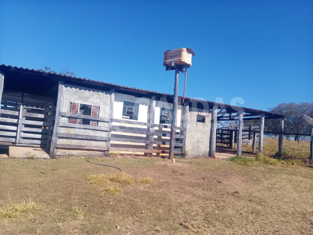 Fazenda - Foto 14