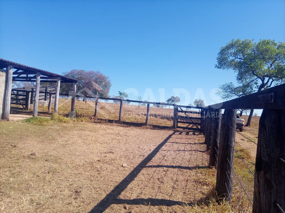 Fazenda - Foto 15