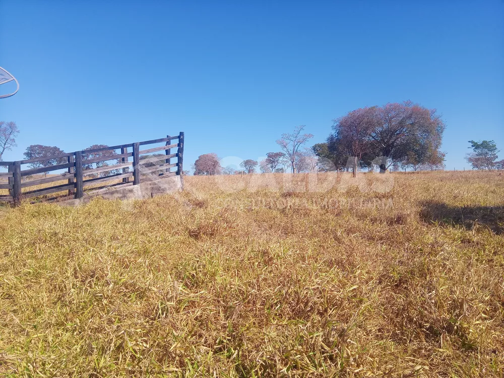 Fazenda à venda - Foto 1