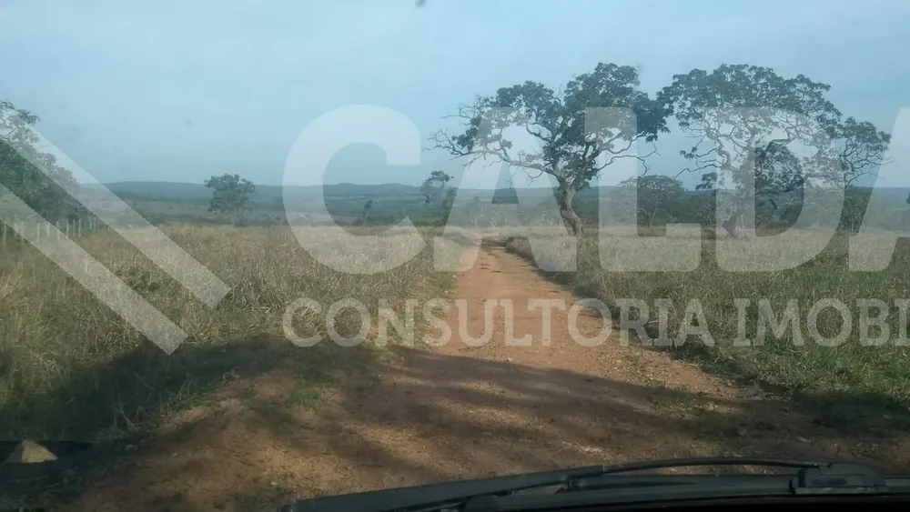 Fazenda - Foto 10