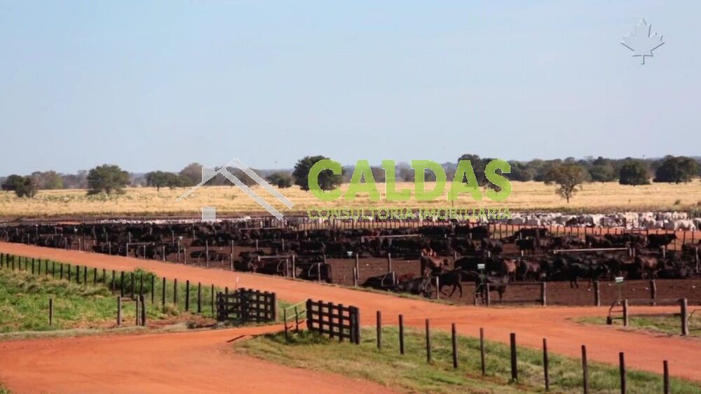 Fazenda, 5 hectares - Foto 3