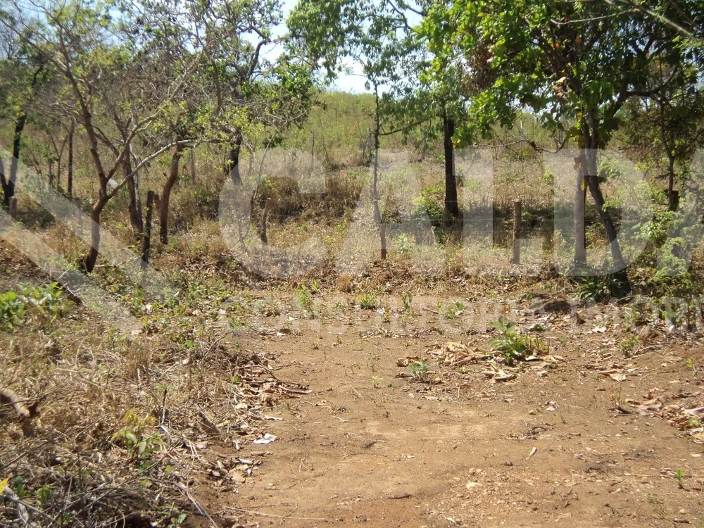 Terreno - Foto 16