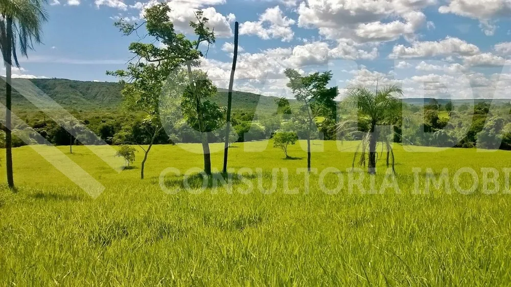 Fazenda - Foto 8
