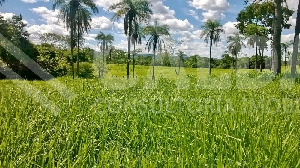 Fazenda - Foto 9