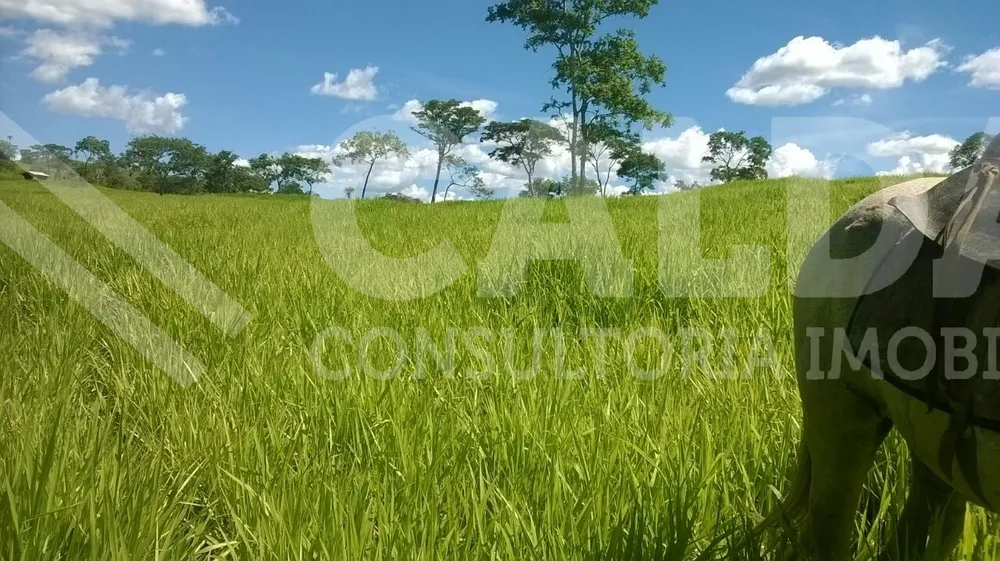 Fazenda - Foto 7