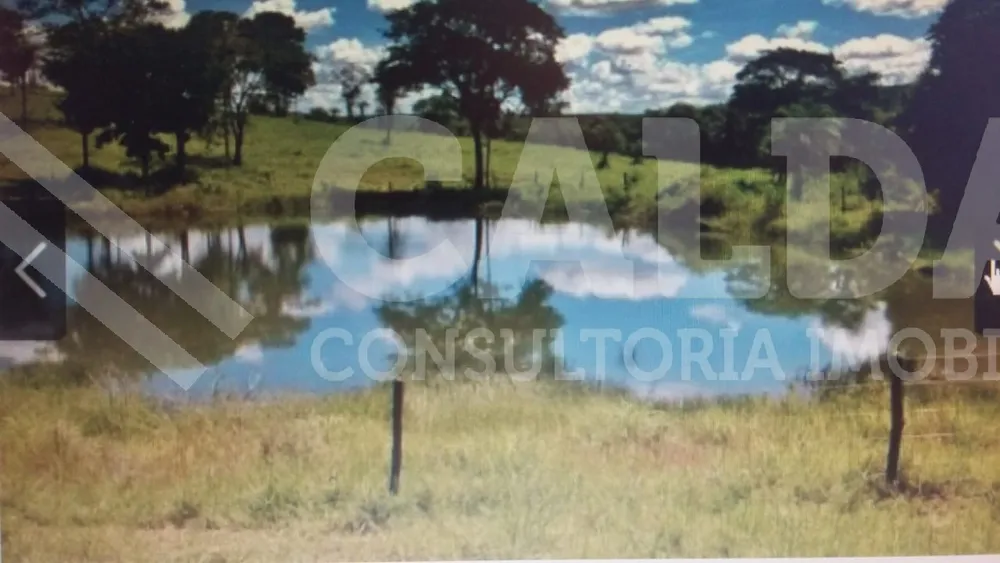Fazenda - Foto 5