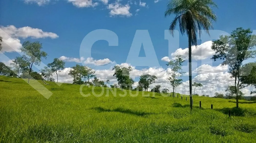 Fazenda - Foto 11