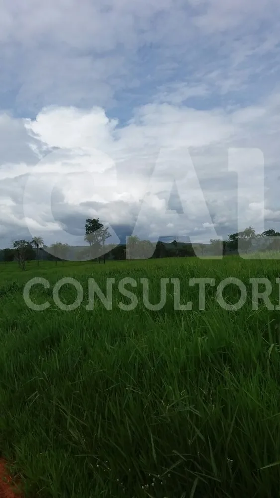 Fazenda - Foto 13