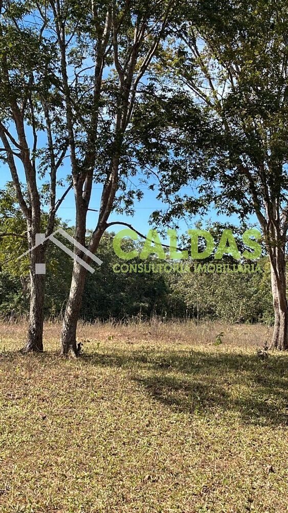 Fazenda, 36 m² - Foto 5