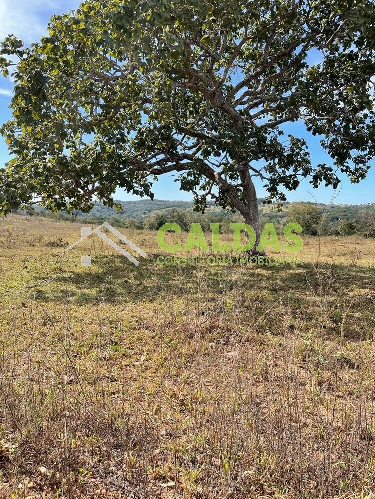 Fazenda, 36 m² - Foto 6