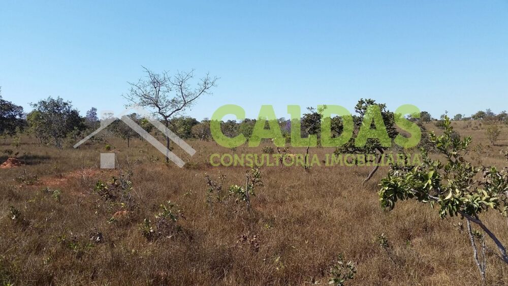 Fazenda - Foto 6