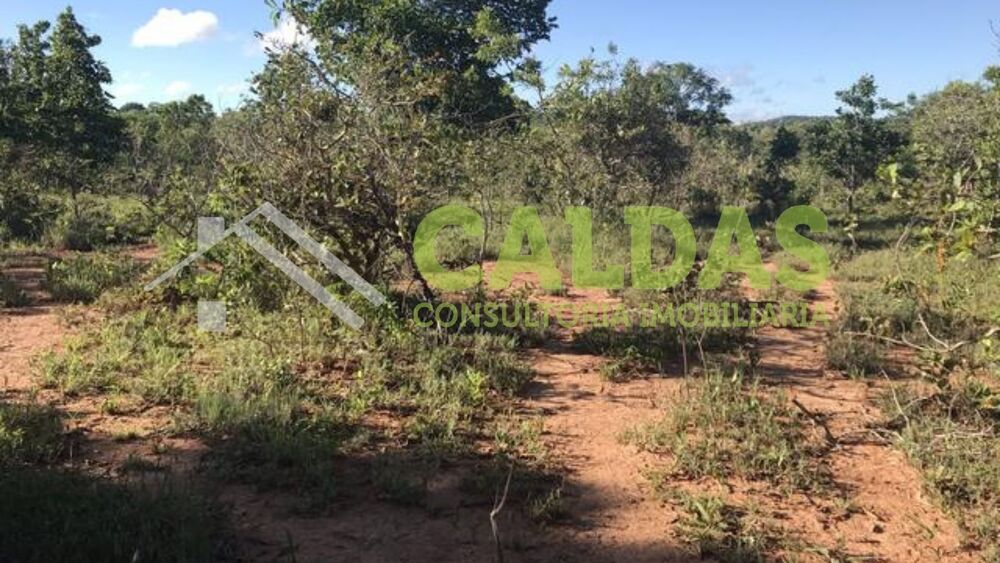Fazenda - Foto 7