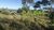 Fazenda-Sítio-Chácara - Foto 2
