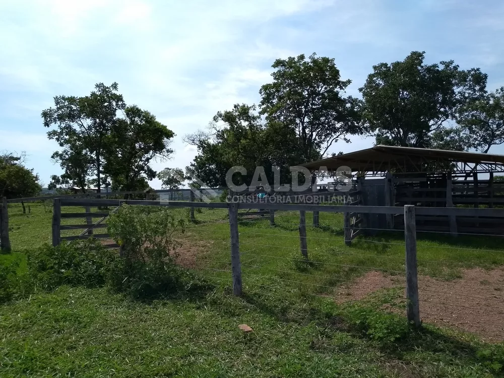 Fazenda - Foto 9