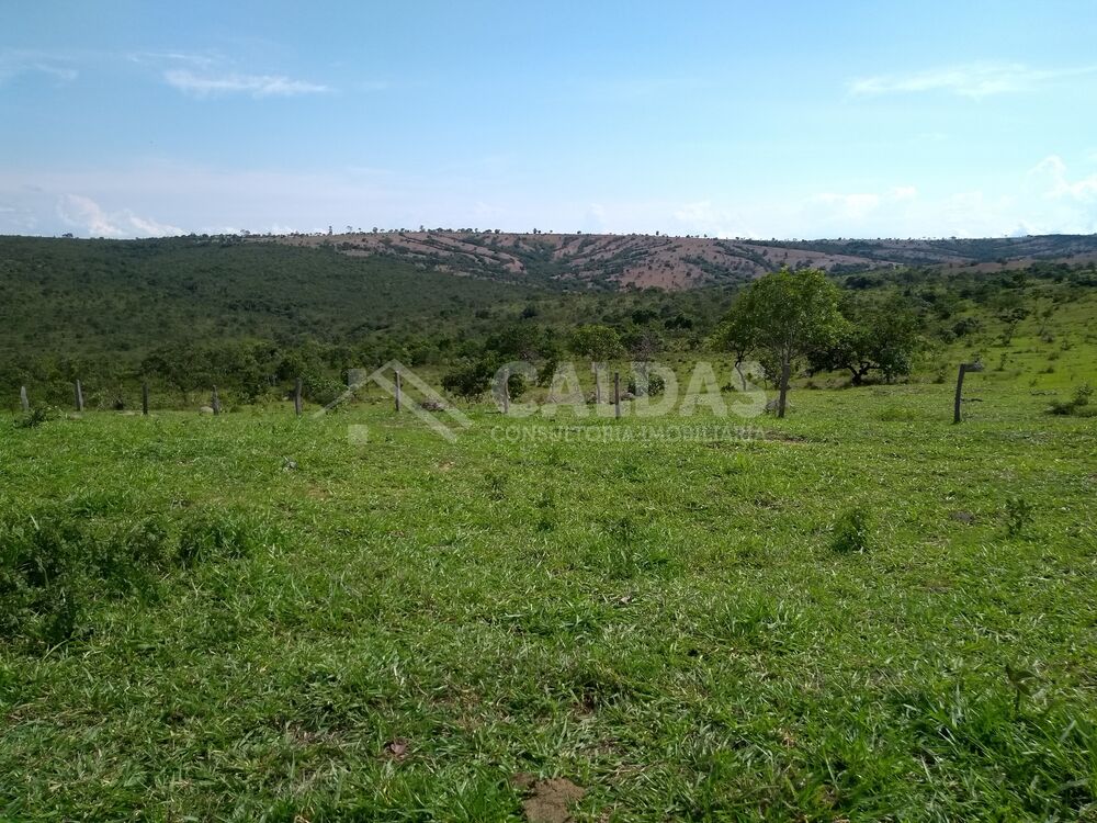 Fazenda - Foto 3