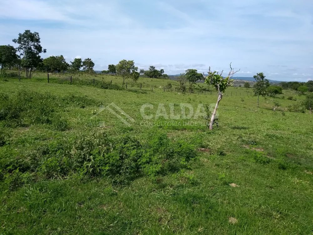 Fazenda - Foto 5