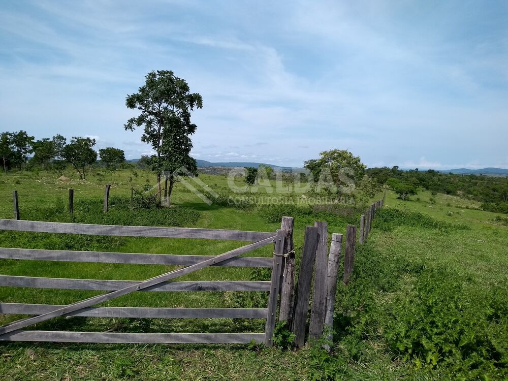Fazenda - Foto 4
