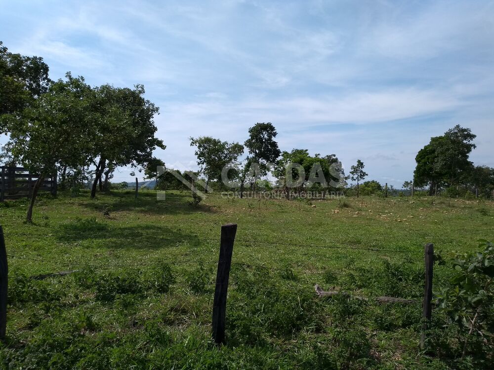 Fazenda - Foto 2