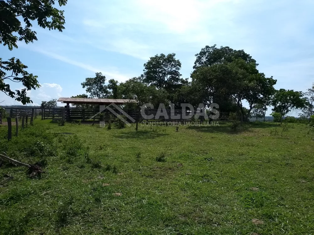 Fazenda - Foto 7