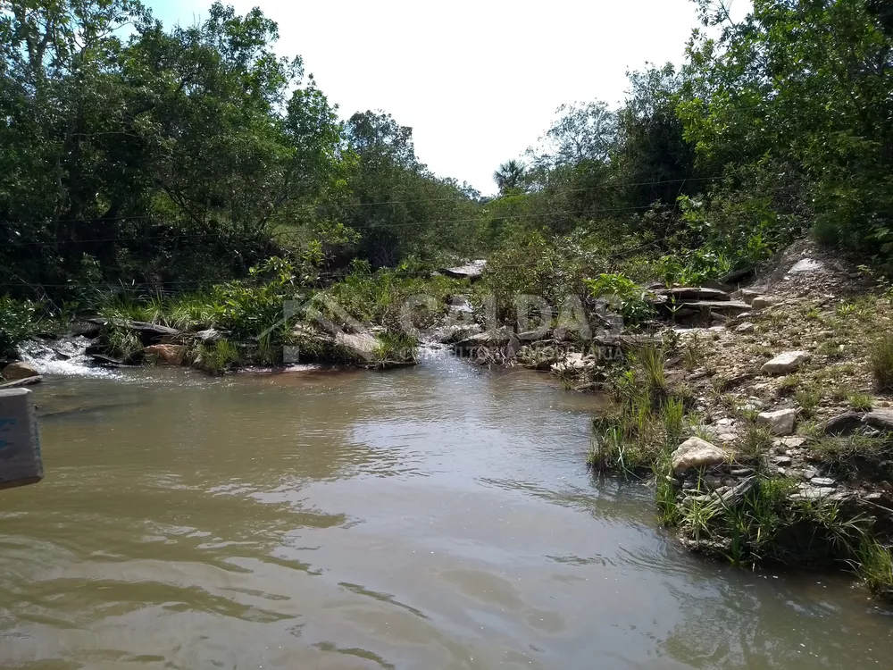 Fazenda - Foto 10