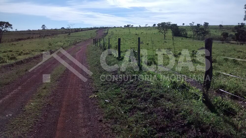 Fazenda - Foto 1