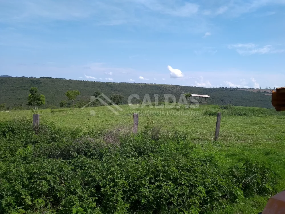 Fazenda - Foto 8