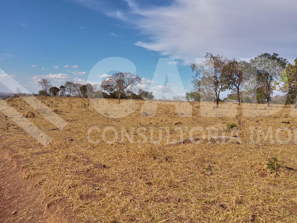 Fazenda - Foto 7
