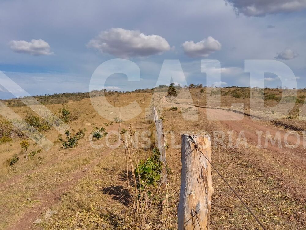Fazenda - Foto 5
