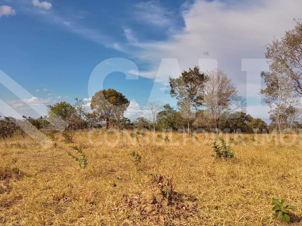 Fazenda - Foto 11